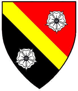 Sina Erdeneva