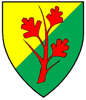 Enid ferch Rhodri